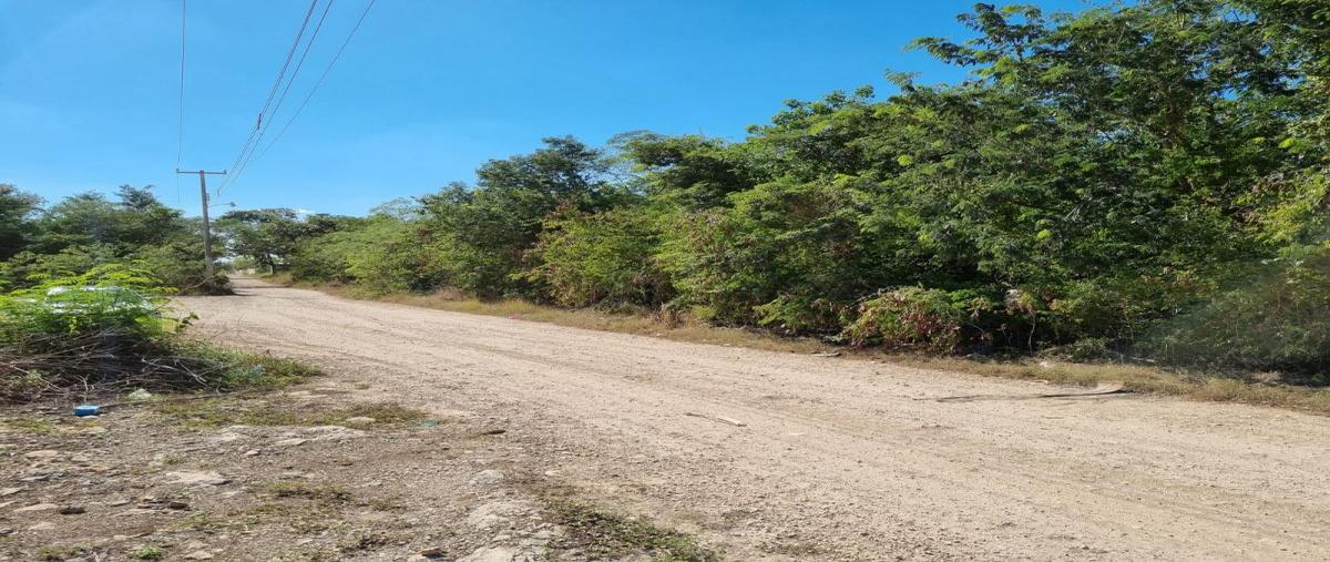 Foto de terreno comercial en venta en sn , centro umán, umán, yucatán, 19818666 No. 05