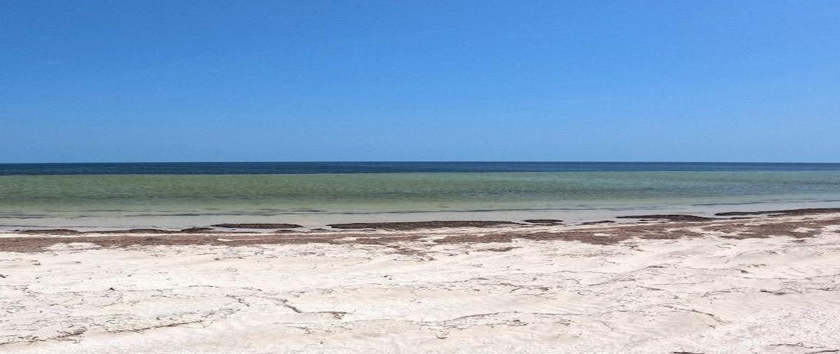 Foto de terreno habitacional en sn , chabihau, yobaín, yucatán, 28286139 foto 01 Foto de terreno habitacional en venta en sn , chabihau, yobaín, yucatán, 28286139 No. 01