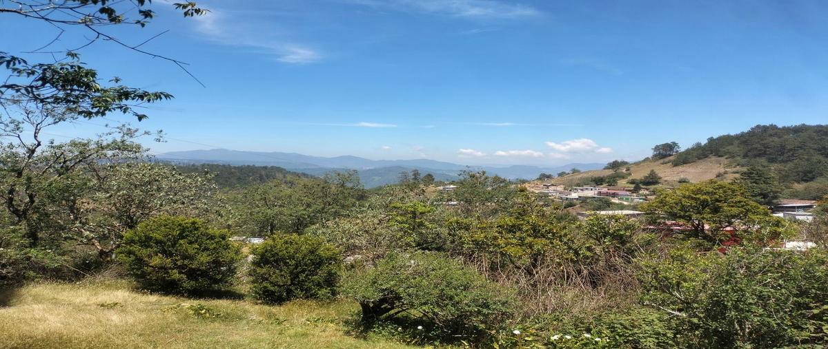 Foto de terreno habitacional en venta en sn , chachahuantla, naupan, puebla, 0 No. 03