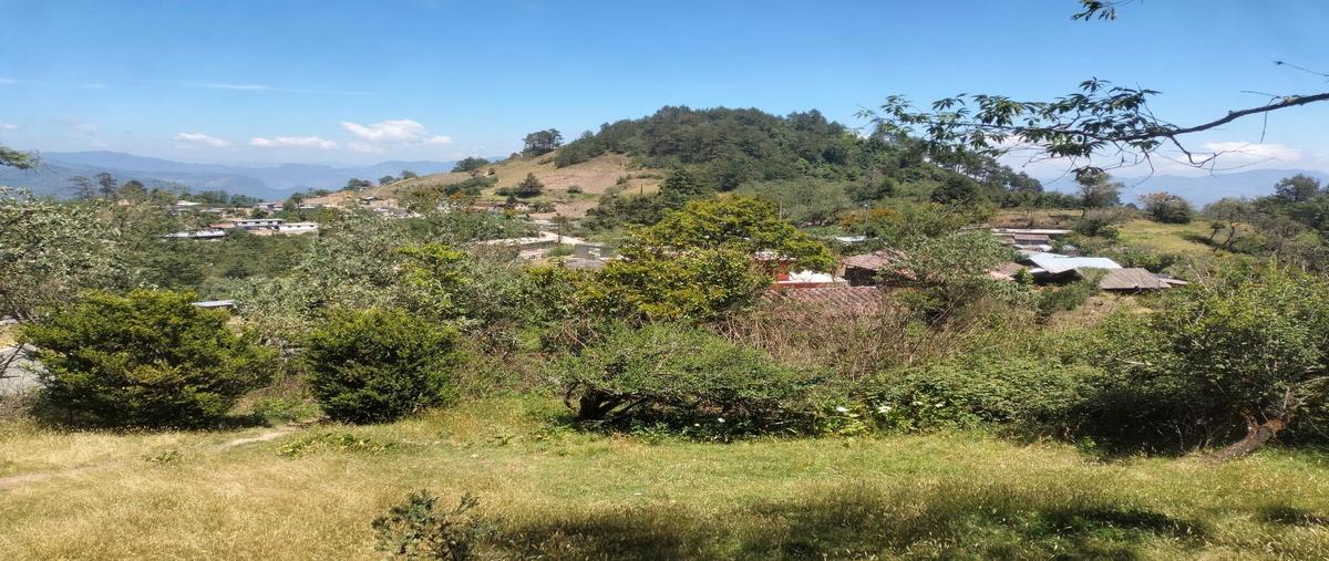 Foto de terreno habitacional en venta en sn , chachahuantla, naupan, puebla, 0 No. 04