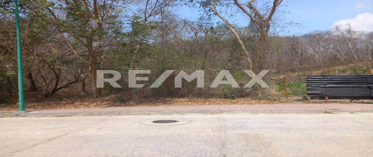 Foto de terreno habitacional en venta en s/n , chahue, santa maría huatulco, oaxaca, 31500198 No. 03