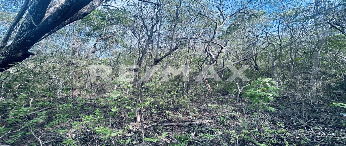 Foto de terreno habitacional en venta en s/n , chahue, santa maría huatulco, oaxaca, 31500198 No. 05