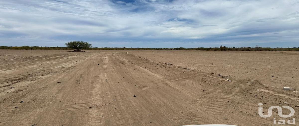 Foto de terreno habitacional en venta en sn , chametla, la paz, baja california sur, 0 No. 01