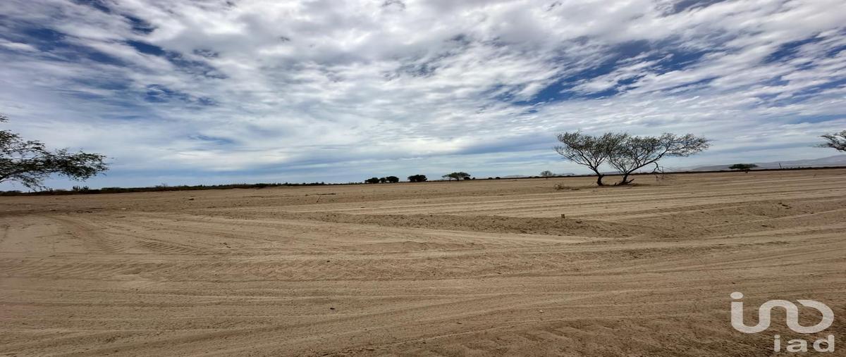 Foto de terreno habitacional en venta en sn , chametla, la paz, baja california sur, 0 No. 03