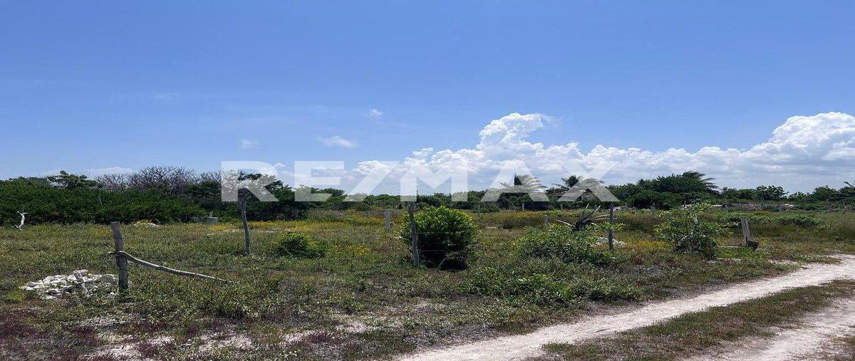 Foto de terreno habitacional en s/n , chelem, progreso, yucatán, 0 foto 03 Foto de terreno habitacional en venta en s/n , chelem, progreso, yucatán, 0 No. 03