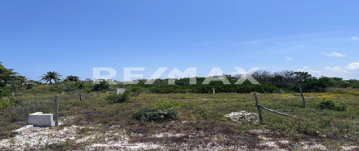 Foto de terreno habitacional en s/n , chelem, progreso, yucatán, 0 foto 04 Foto de terreno habitacional en venta en s/n , chelem, progreso, yucatán, 0 No. 04