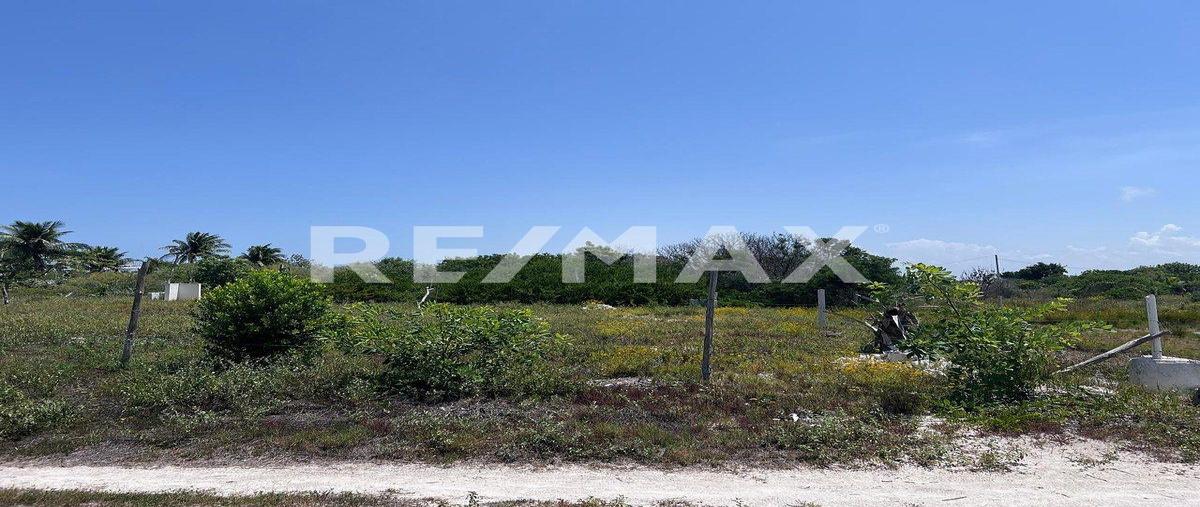 Foto de terreno habitacional en s/n , chelem, progreso, yucatán, 0 foto 05 Foto de terreno habitacional en venta en s/n , chelem, progreso, yucatán, 0 No. 05