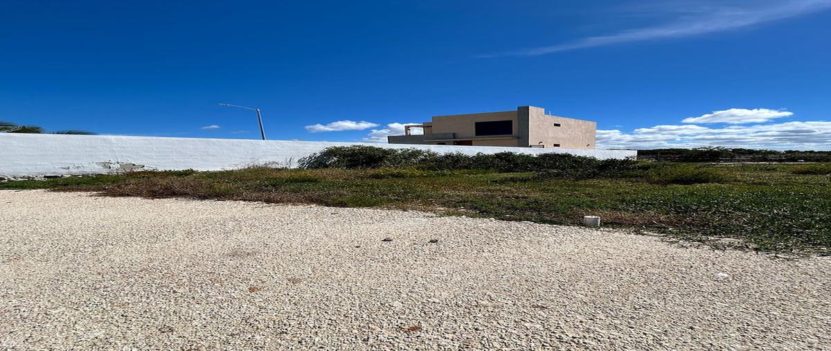 Foto de terreno habitacional en venta en sn , chelem, progreso, yucatán, 0 No. 04