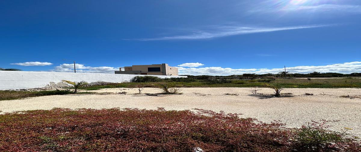Foto de terreno habitacional en venta en sn , chelem, progreso, yucatán, 0 No. 06