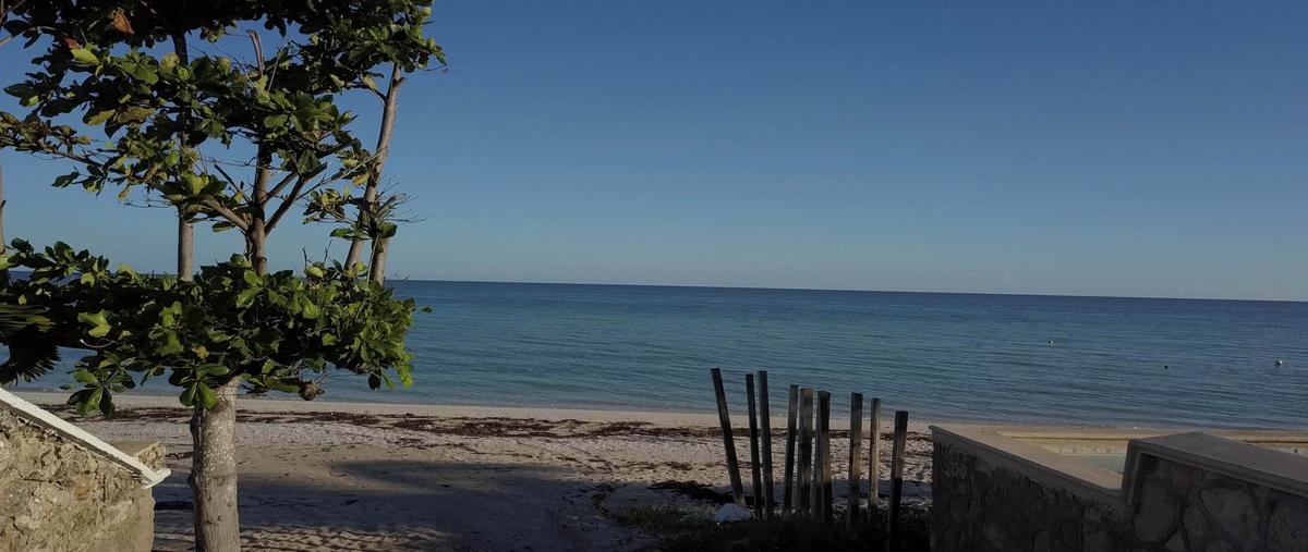 Foto de terreno habitacional en venta en s/n , chicxulub puerto, progreso, yucatán, 28962754 No. 03