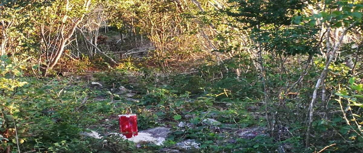 Foto de terreno habitacional en venta en sn , chicxulub puerto, progreso, yucatán, 30028235 No. 05