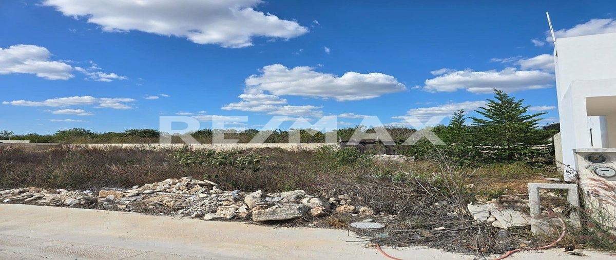 Foto de terreno habitacional en venta en s/n , cholul, mérida, yucatán, 0 No. 04