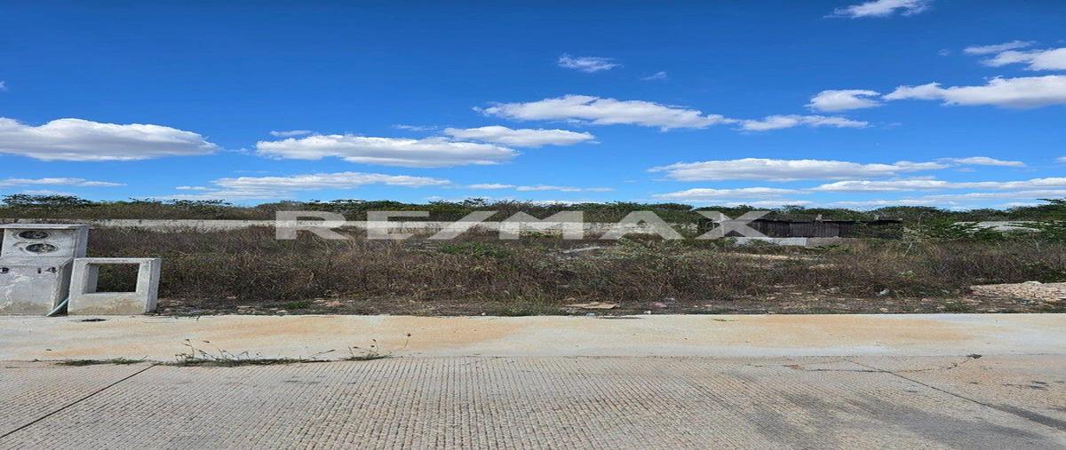 Foto de terreno habitacional en venta en s/n , cholul, mérida, yucatán, 0 No. 05
