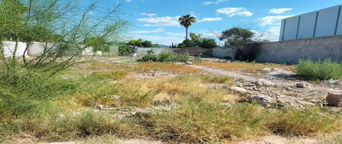 Foto de terreno habitacional en venta en s/n , ciudad lerdo centro, lerdo, durango, 28533466 No. 09