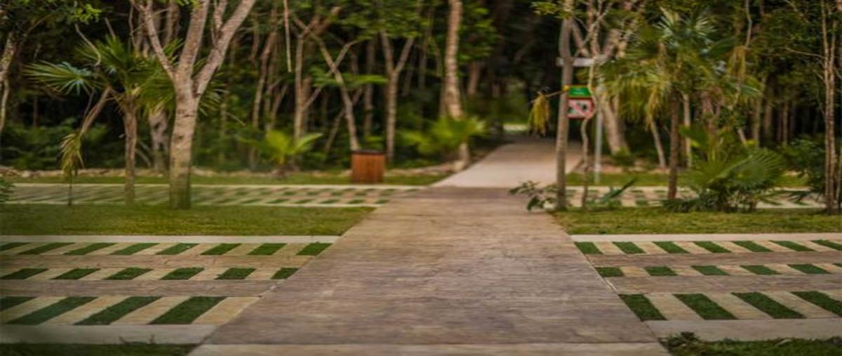 Foto de terreno habitacional en venta en s/n , ciudad mayakoba, solidaridad, quintana roo, 0 No. 05