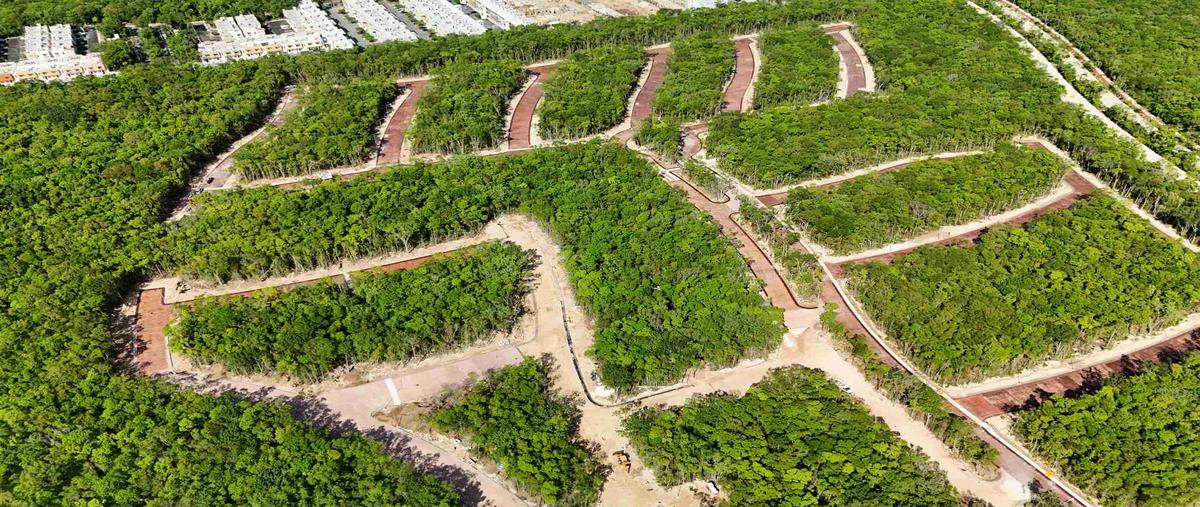 Foto de terreno habitacional en venta en s/n , ciudad mayakoba, solidaridad, quintana roo, 0 No. 04
