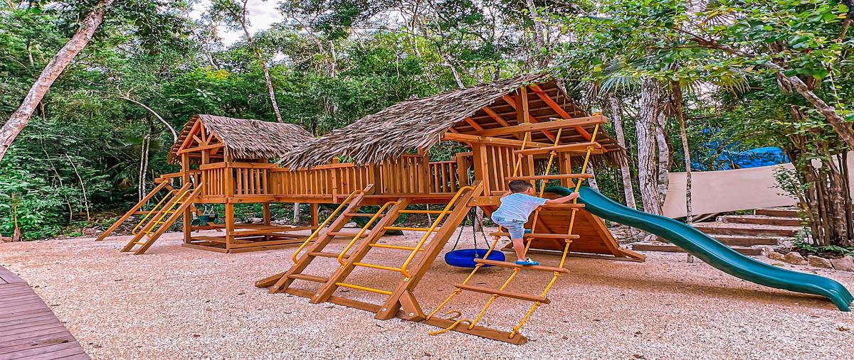 Foto de terreno comercial en s/n , coba, tulum, quintana roo, 29244479 foto 05 Foto de terreno comercial en venta en s/n , coba, tulum, quintana roo, 29244479 No. 05