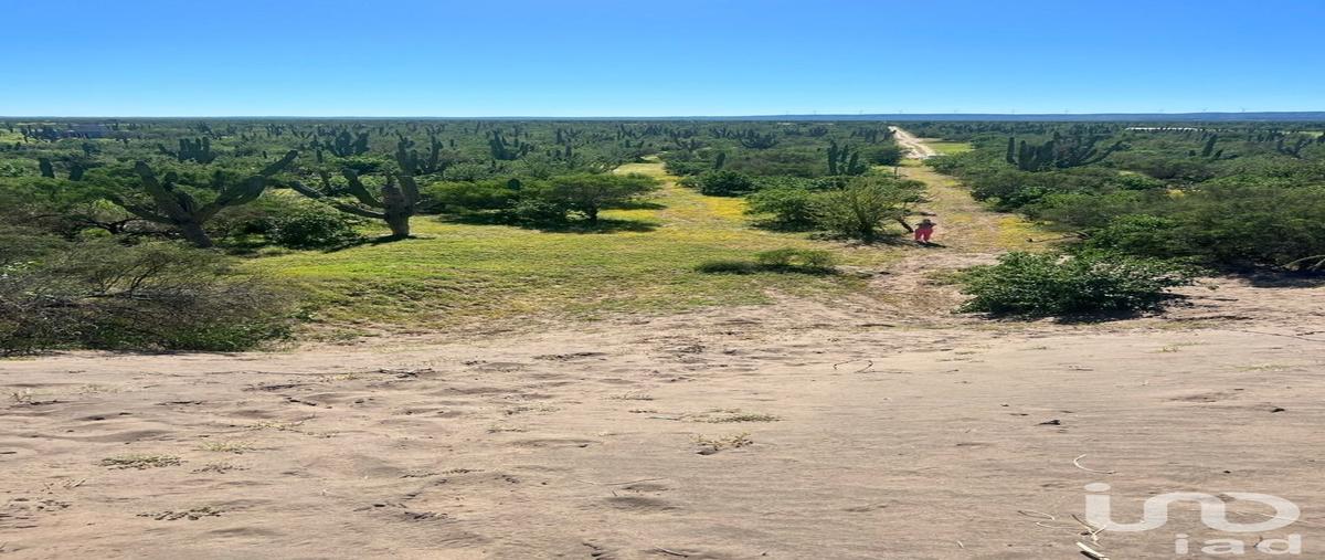 Foto de terreno habitacional en venta en sn , comitán, la paz, baja california sur, 30513541 No. 04