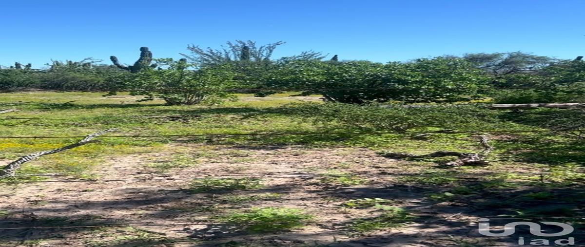 Foto de terreno habitacional en venta en sn , comitán, la paz, baja california sur, 30513541 No. 05
