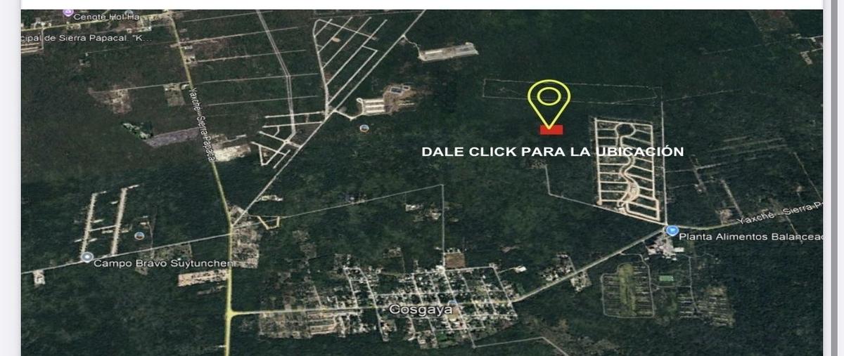 Foto de terreno habitacional en venta en sn , cosgaya, mérida, yucatán, 0 No. 03