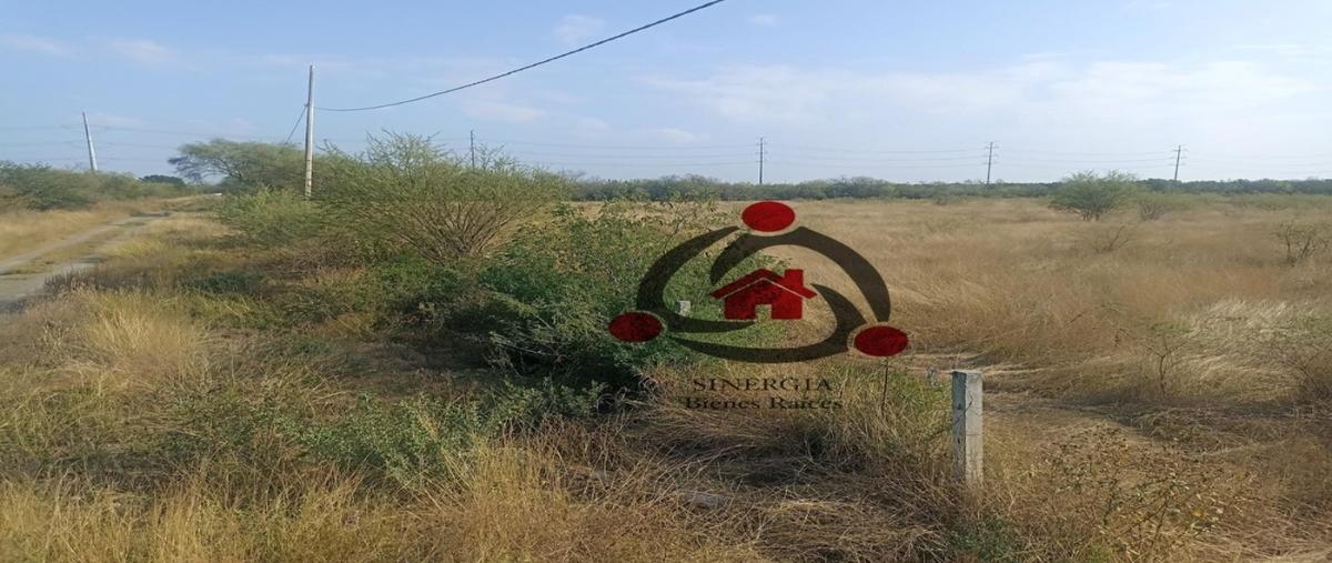 Foto de terreno comercial en venta en sn , doctor gonzález centro, doctor gonzález, nuevo león, 29209718 No. 05