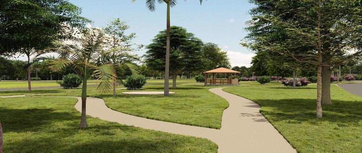 Foto de terreno habitacional en s/n , dzemul, dzemul, yucatán, 27742188 foto 05 Foto de terreno habitacional en venta en s/n , dzemul, dzemul, yucatán, 27742188 No. 05