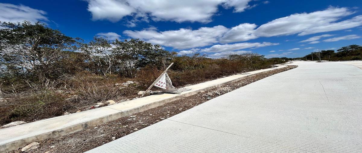 Foto de terreno habitacional en venta en sn , dzibilchaltún, mérida, yucatán, 0 No. 03