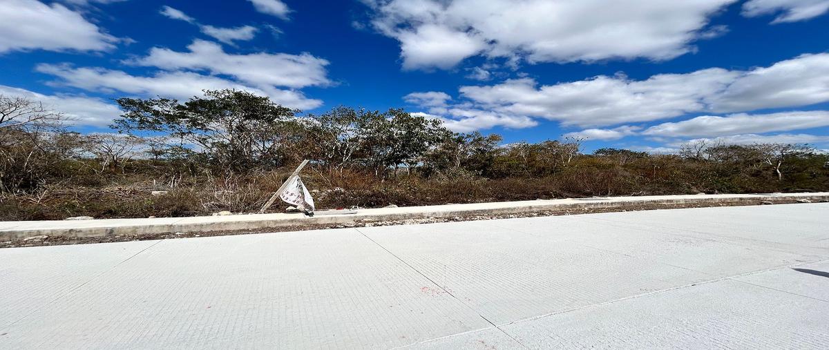 Foto de terreno habitacional en venta en sn , dzibilchaltún, mérida, yucatán, 0 No. 04