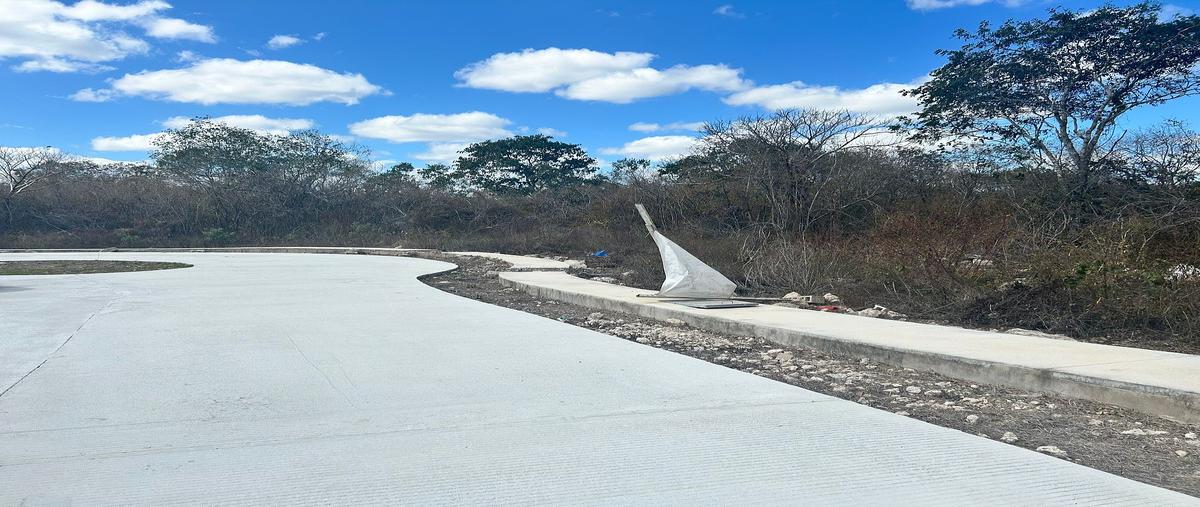 Foto de terreno habitacional en venta en sn , dzibilchaltún, mérida, yucatán, 0 No. 05