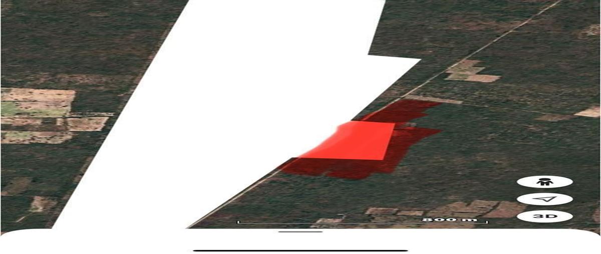 Foto de rancho en venta en s/n , dzidzantun, dzidzantún, yucatán, 29810354 No. 03