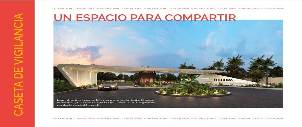 Foto de terreno habitacional en sn , dzitya, mérida, yucatán, 0 foto 02 Foto de terreno habitacional en venta en sn , dzitya, mérida, yucatán, 0 No. 02