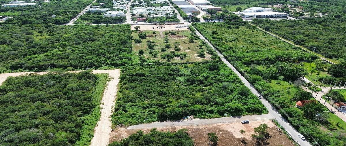 Foto de terreno habitacional en venta en sn , dzitya, mérida, yucatán, 0 No. 05