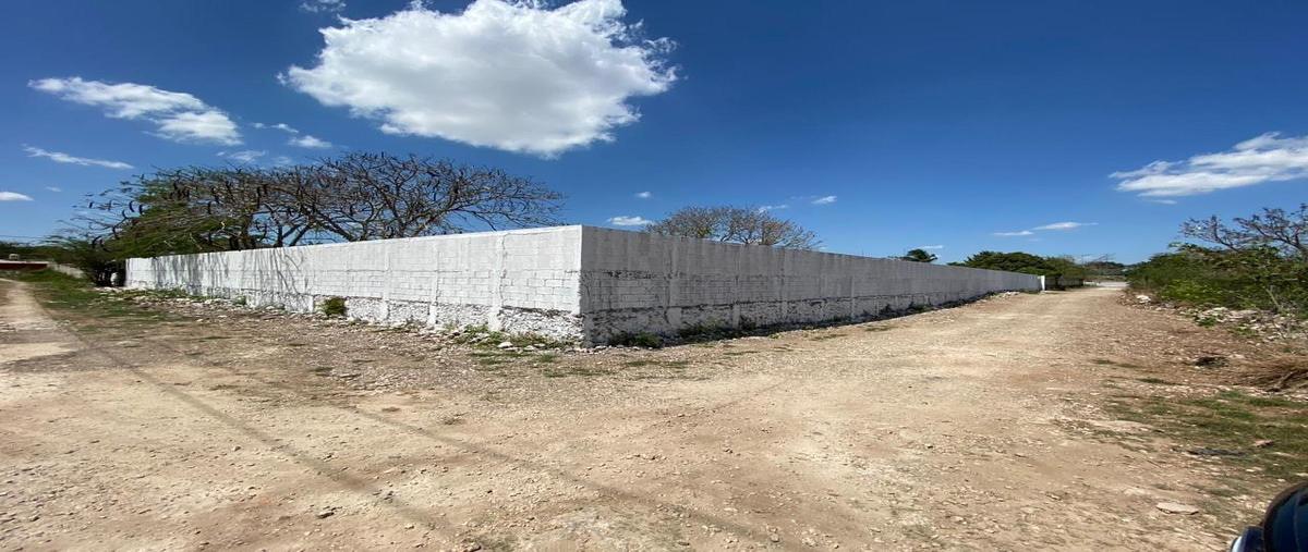 Foto de terreno comercial en s/n , dzununcán, mérida, yucatán, 30733205 foto 07 Foto de terreno comercial en renta en s/n , dzununcán, mérida, yucatán, 30733205 No. 07