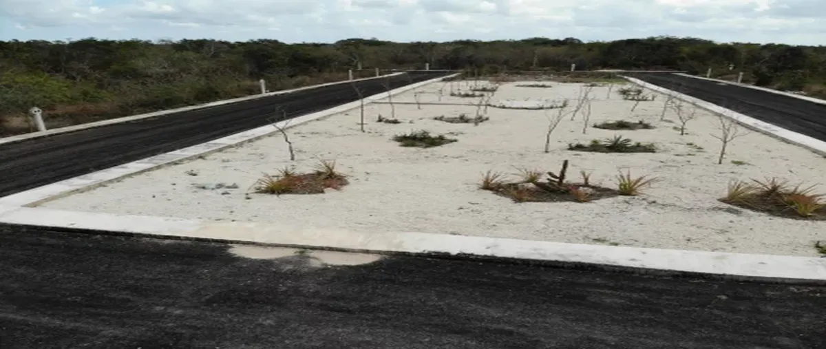 Foto de terreno habitacional en venta en s/n , ejidal, tulum, quintana roo, 29860477 No. 10