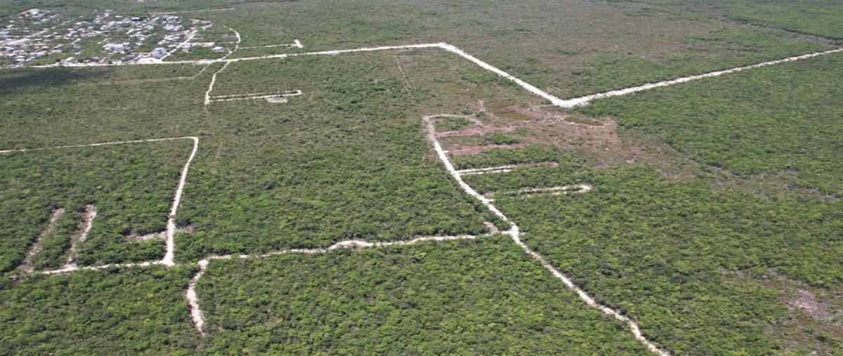 Foto de terreno habitacional en venta en s/n , ejidal, tulum, quintana roo, 0 No. 03