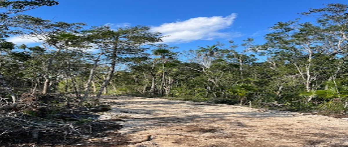 Foto de terreno habitacional en venta en s/n , ejidal, tulum, quintana roo, 0 No. 04