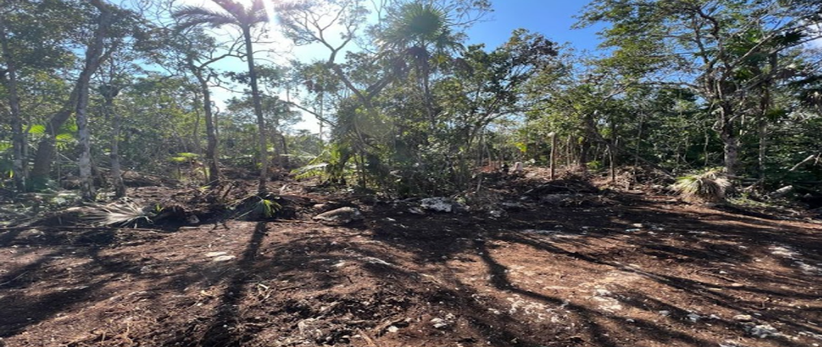 Foto de terreno habitacional en venta en s/n , ejidal, tulum, quintana roo, 0 No. 05