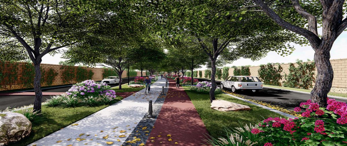 Foto de terreno habitacional en venta en s/n , el cardenchal, torreón, coahuila de zaragoza, 28225185 No. 05