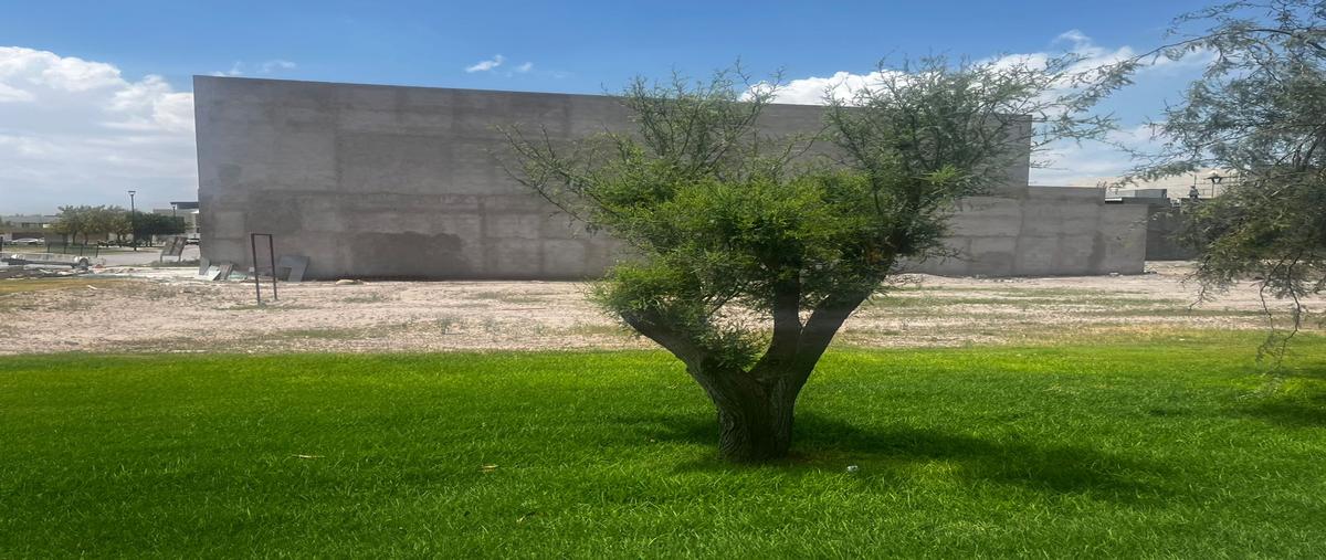 Foto de terreno habitacional en venta en s/n , el cardenchal, torreón, coahuila de zaragoza, 30138153 No. 04