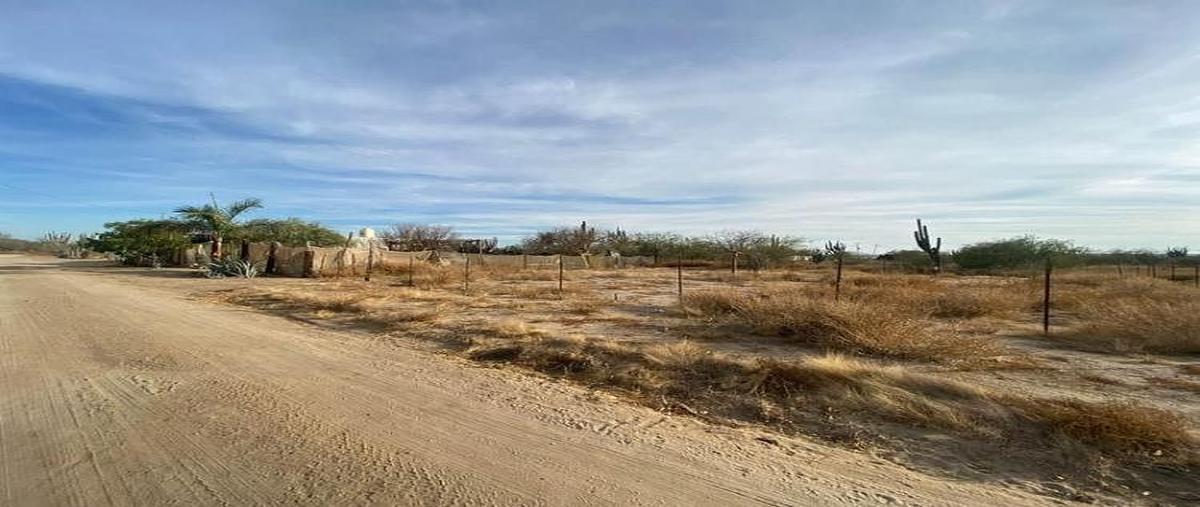 Foto de terreno habitacional en venta en s/n , el cardoncito, la paz, baja california sur, 0 No. 04