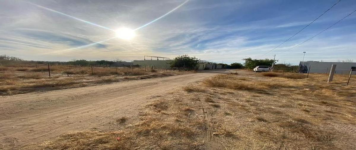 Foto de terreno habitacional en venta en s/n , el cardoncito, la paz, baja california sur, 0 No. 05