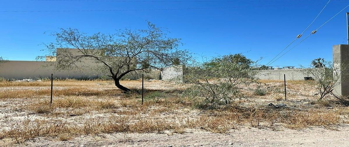 Foto de terreno habitacional en venta en sn , el centenario, la paz, baja california sur, 30978587 No. 03