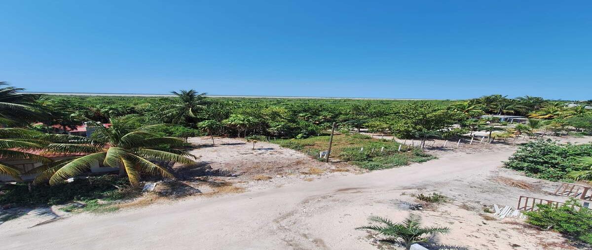 Foto de terreno habitacional en venta en s/n , el cuyo, tizimín, yucatán, 0 No. 03