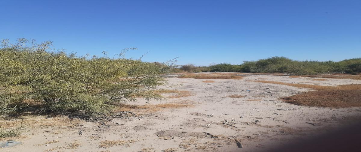Foto de rancho en venta en s/n , el jaralito, mapimí, durango, 30314324 No. 06