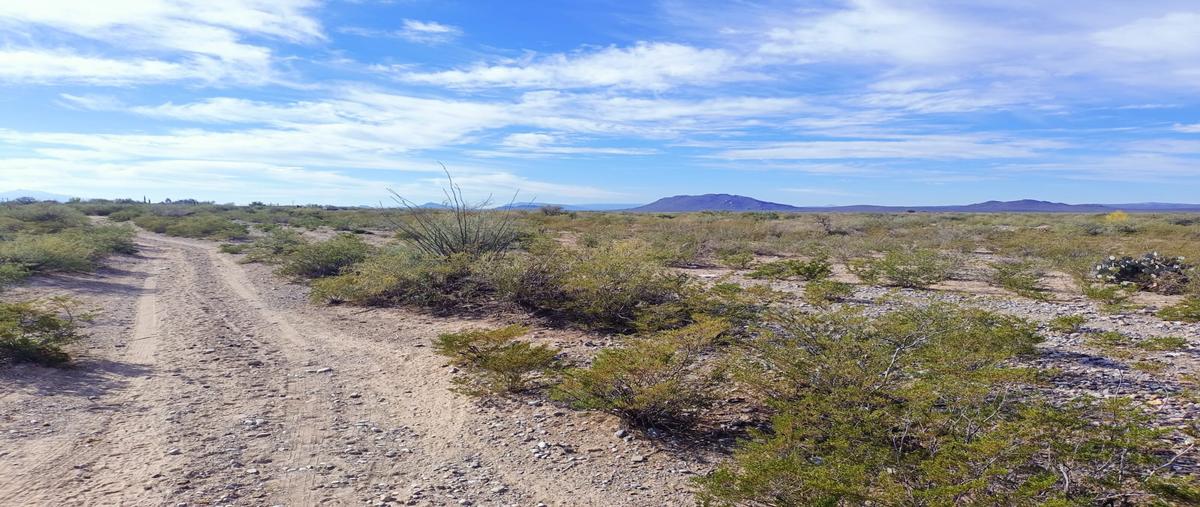 Foto de rancho en venta en s/n , el jaralito, mapimí, durango, 30314324 No. 09