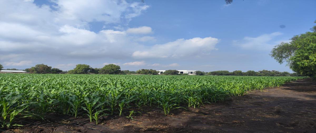 Foto de terreno habitacional en venta en s/n , el romeral, corregidora, querétaro, 0 No. 03