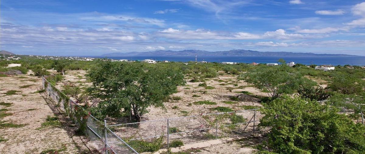 Foto de terreno habitacional en sn , el sargento, la paz, baja california sur, 0 foto 02 Foto de terreno habitacional en venta en sn , el sargento, la paz, baja california sur, 0 No. 02
