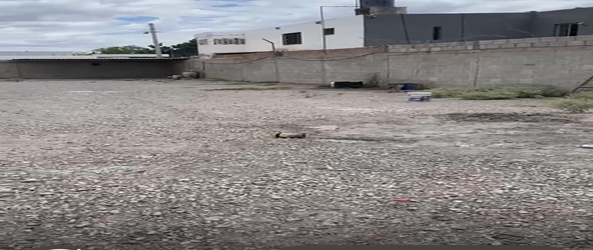 Foto de terreno comercial en s/n , el tajito, torreón, coahuila de zaragoza, 30274311 foto 04 Foto de terreno comercial en renta en s/n , el tajito, torreón, coahuila de zaragoza, 30274311 No. 04