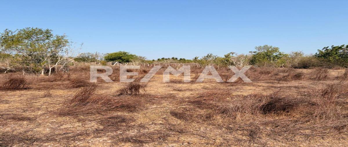 Foto de terreno habitacional en venta en sn , el tecomate pesquería, san marcos, guerrero, 0 No. 03