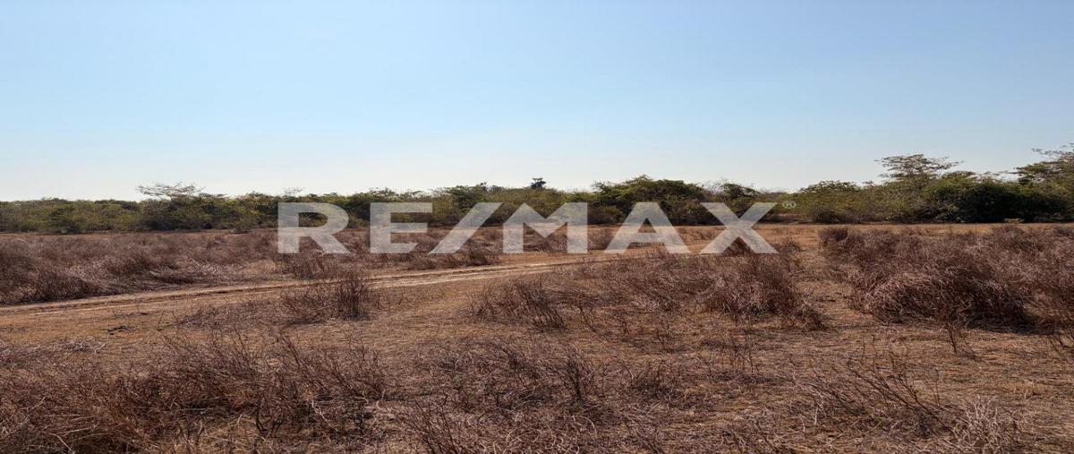 Foto de terreno habitacional en venta en sn , el tecomate pesquería, san marcos, guerrero, 0 No. 04